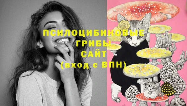 стафф Вязники